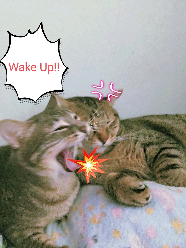 POV: Mom n Me in every early morning.