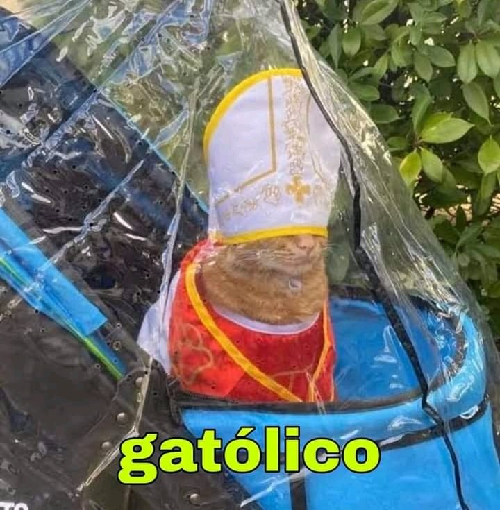 Desafio alguém a desenhar este 🐱 kkkkk