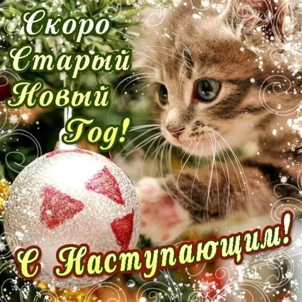 Со старым Новым Годом, друзья 🎄🎉