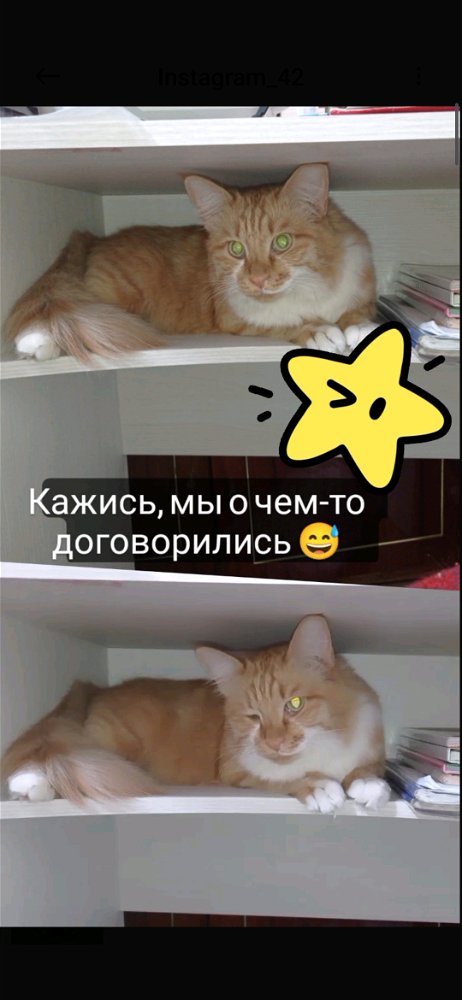 Кузенька 😻😻😻