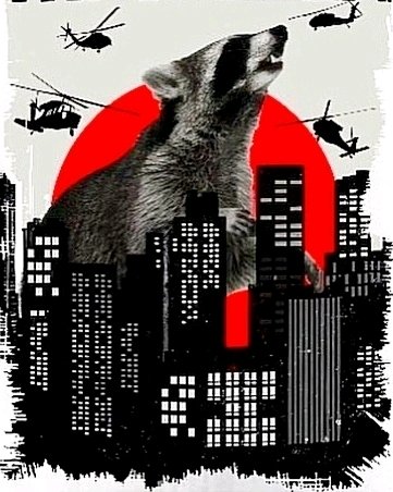 Trashzilla 🗑️🦝✨