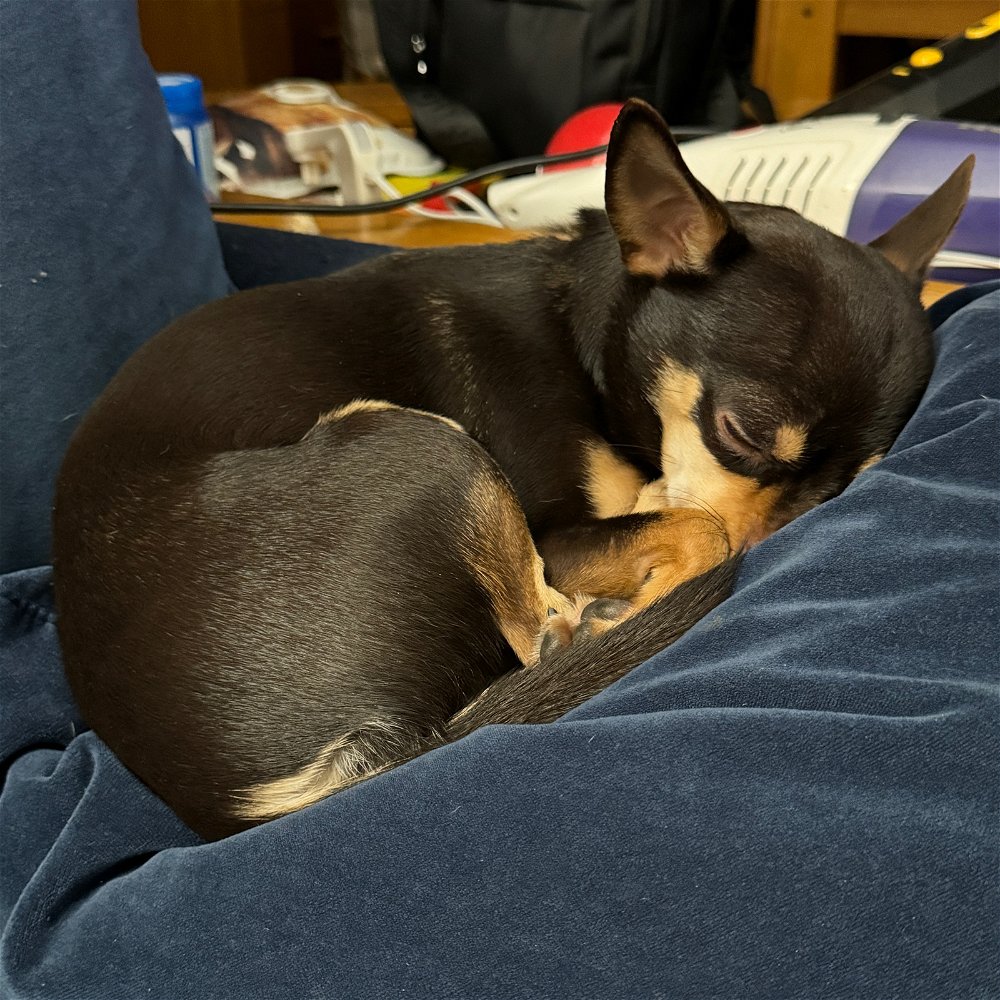 Sunday Mood