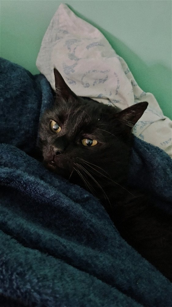 POV: you wake up like this