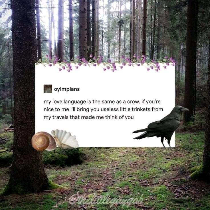 Love languages