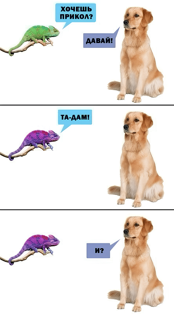 Не пон!
(Я понял, это собакен не понял))