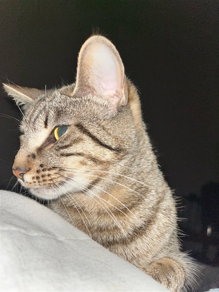 Morning