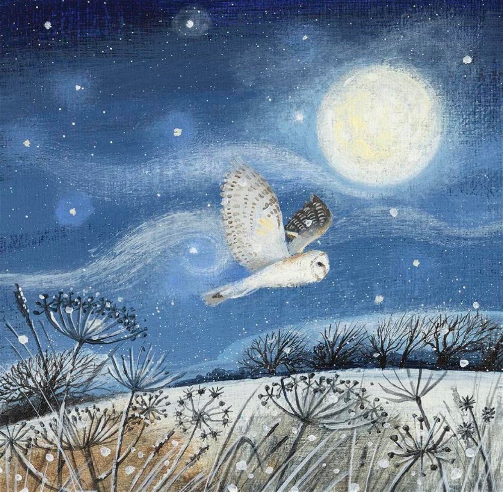 Barn Owl and Full Moon