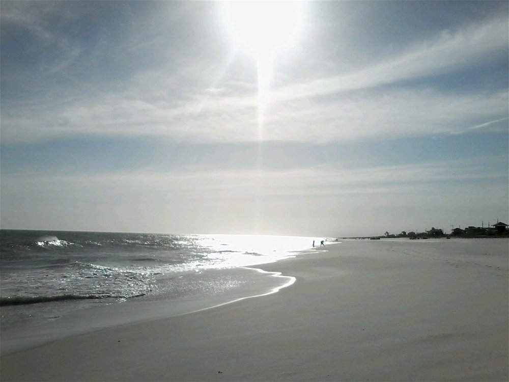 Meu lugar ao sol