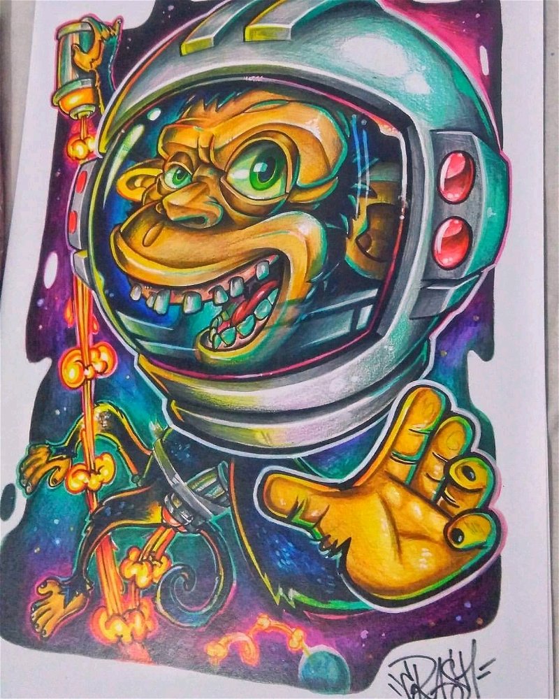 Cosmosinge