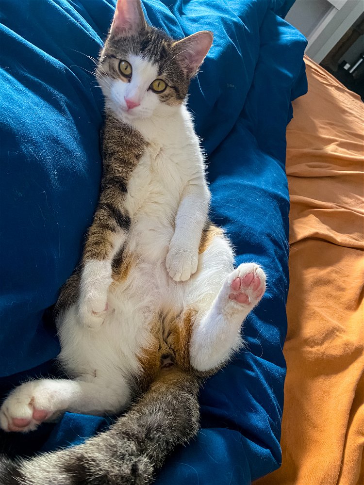 Einfach chillen.