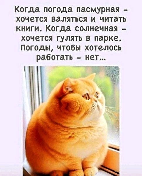 Состояние души 🤗