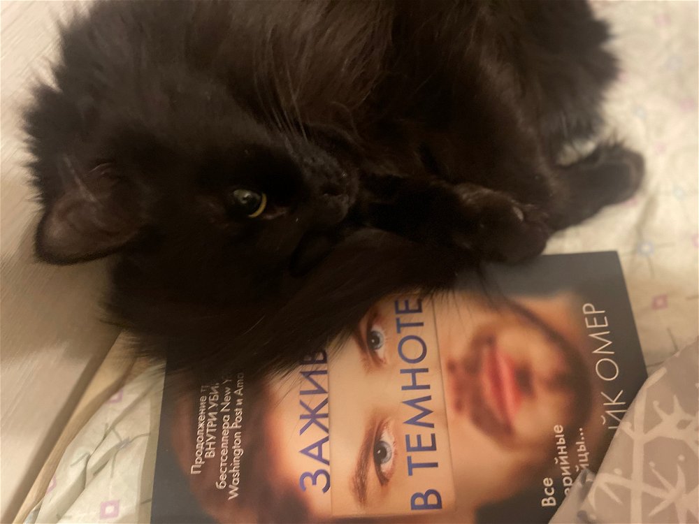 такими темпами скуплю все книги омера