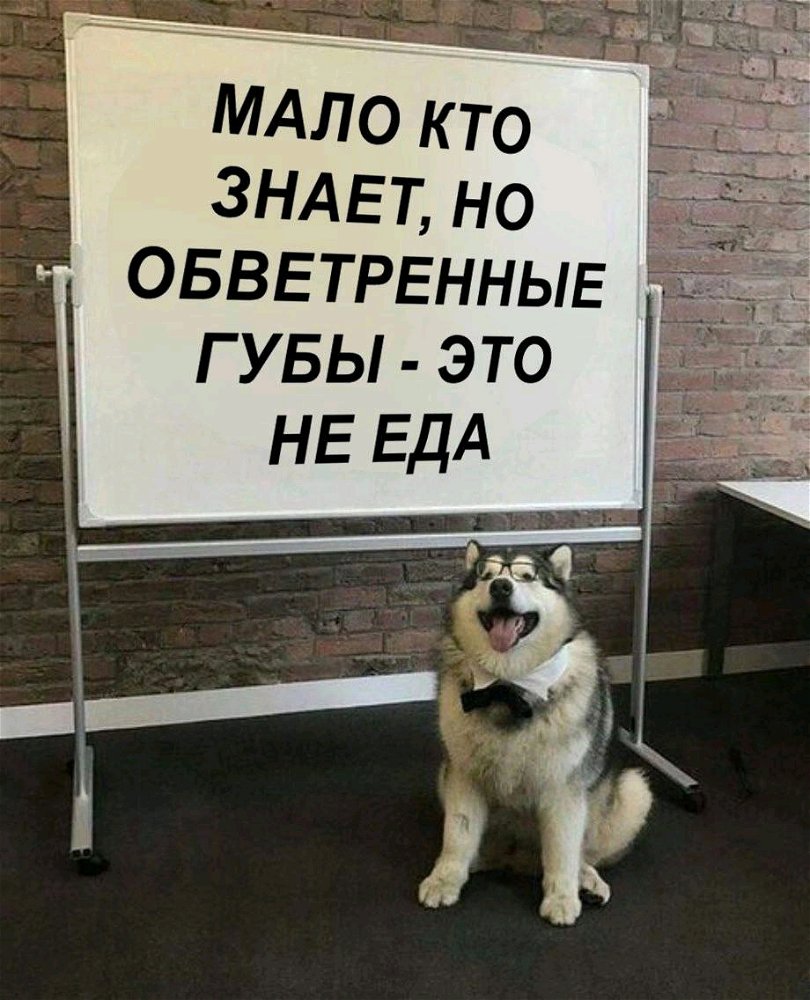:**