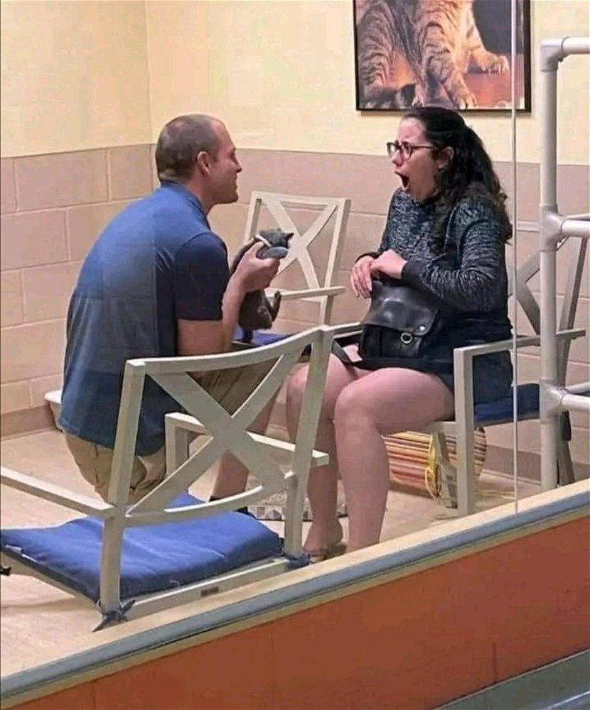 if you can't propose like this, I don't want you