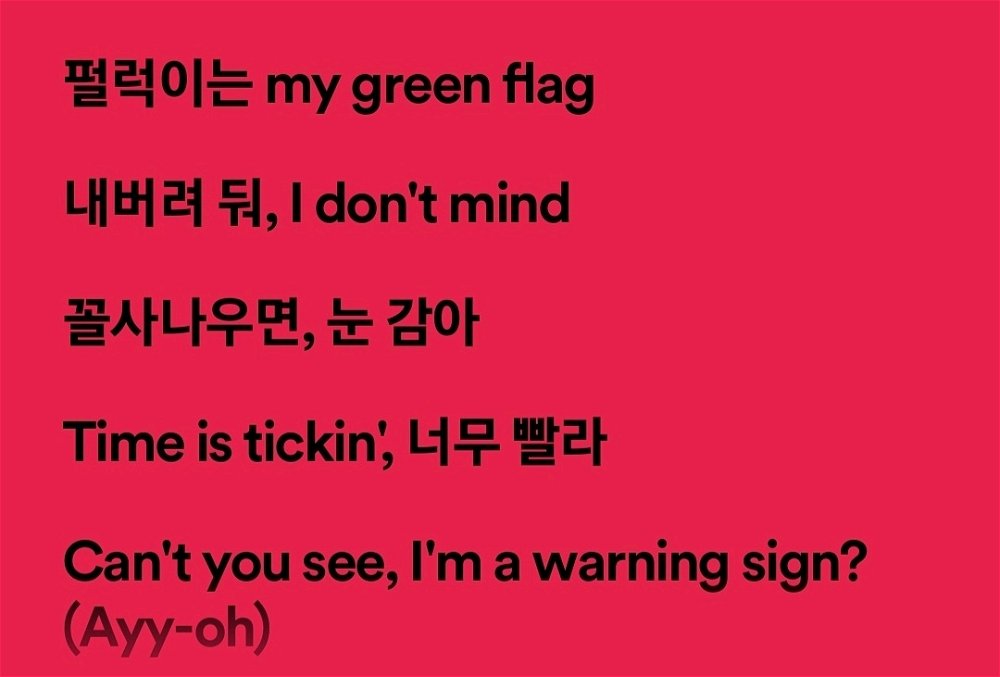 When delulu is on max and they have to remind us🚩🚩🚩🚩😂