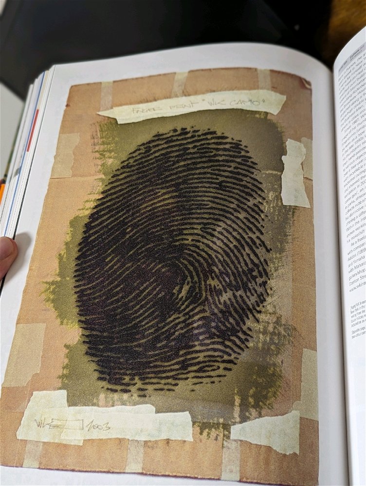 Camouflage fingerprint