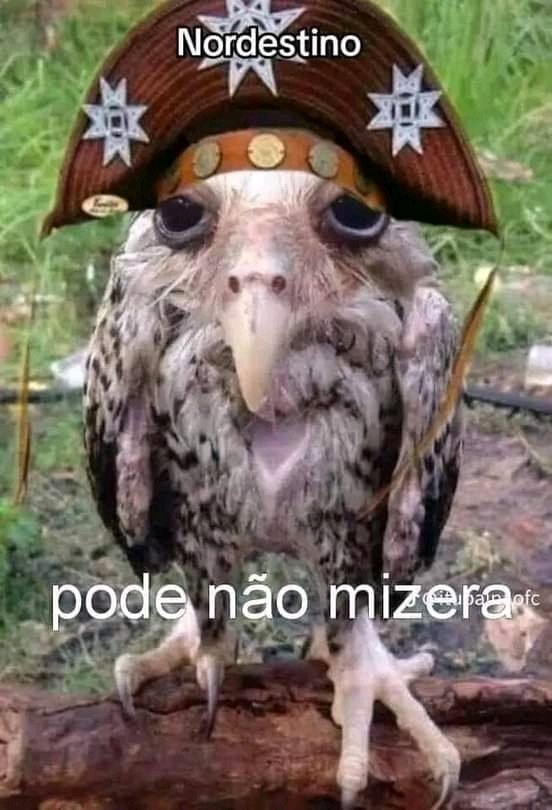 Alguém afim de bater um papo???
