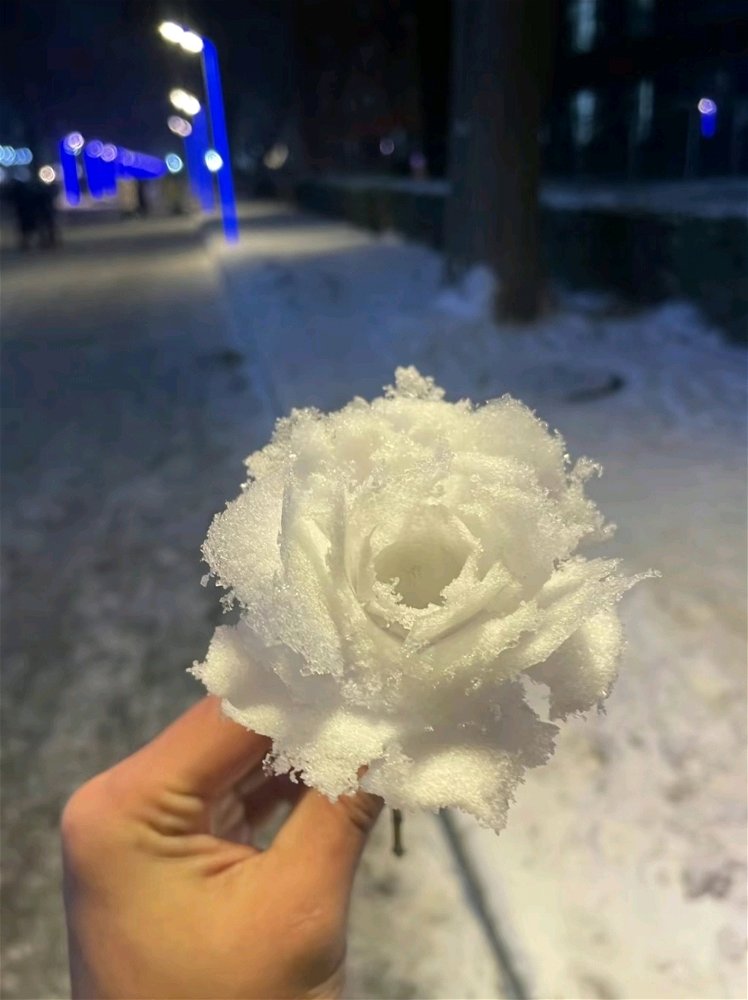alone