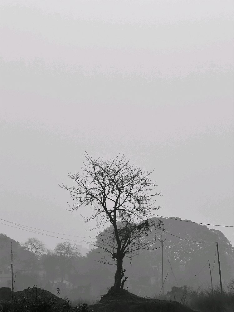#wintervibes🖤