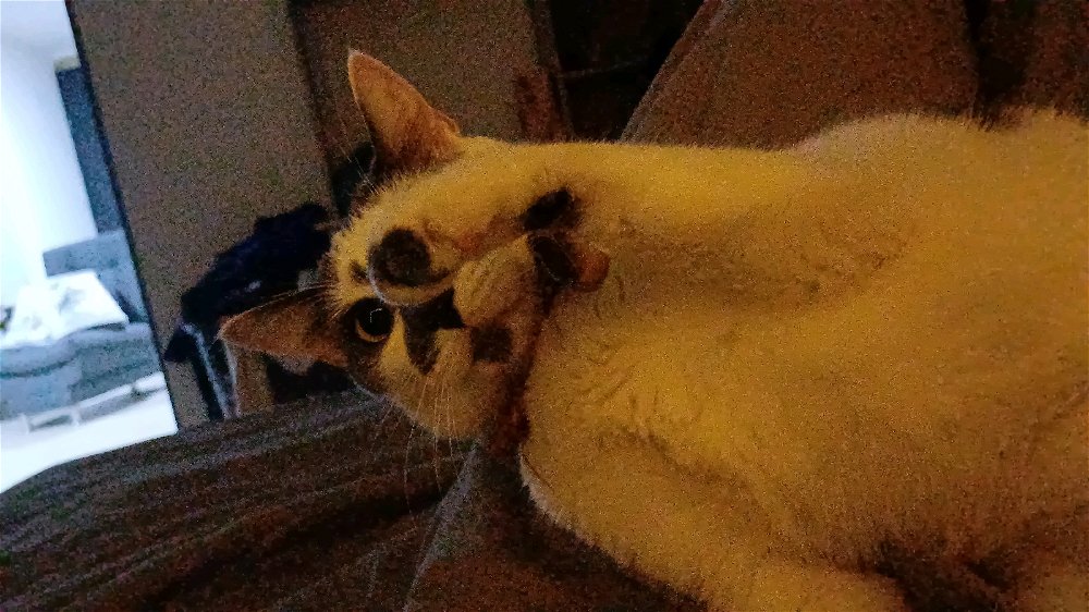 Hello World!