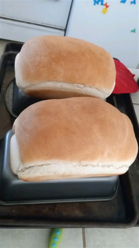 Tester loaves