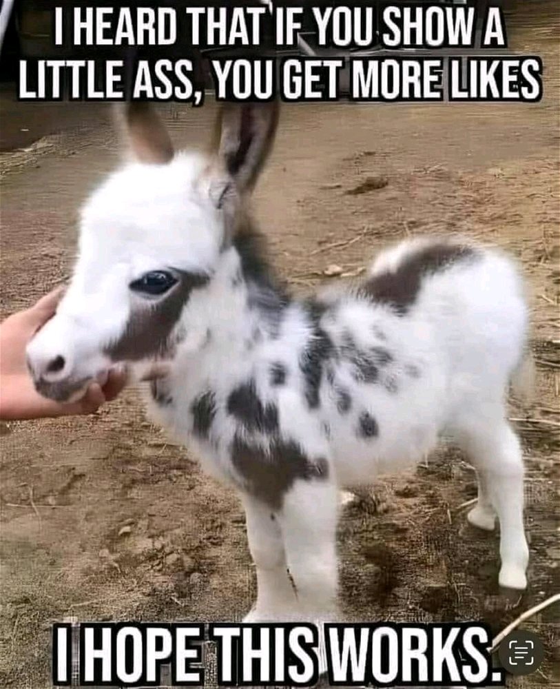Should I?