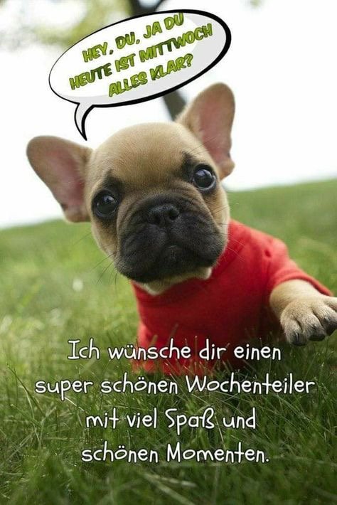 Einen schönen Wochenteiler.