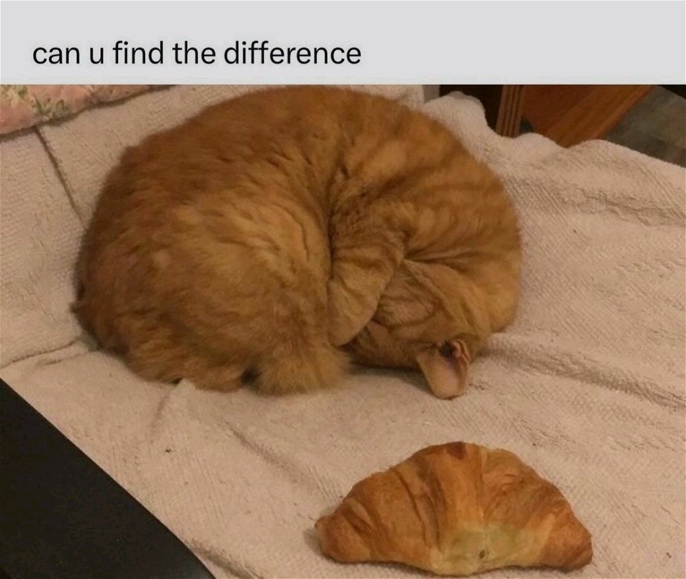 Croissant poilu