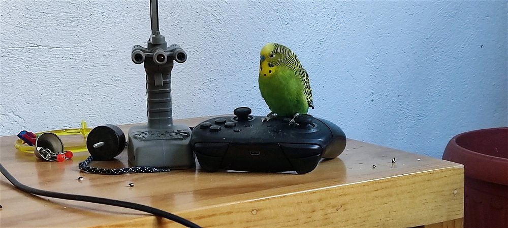 Gamer