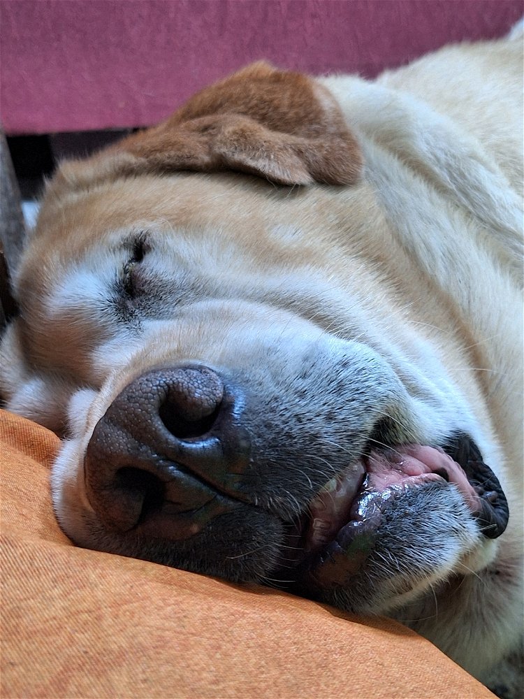 My baby sleeping