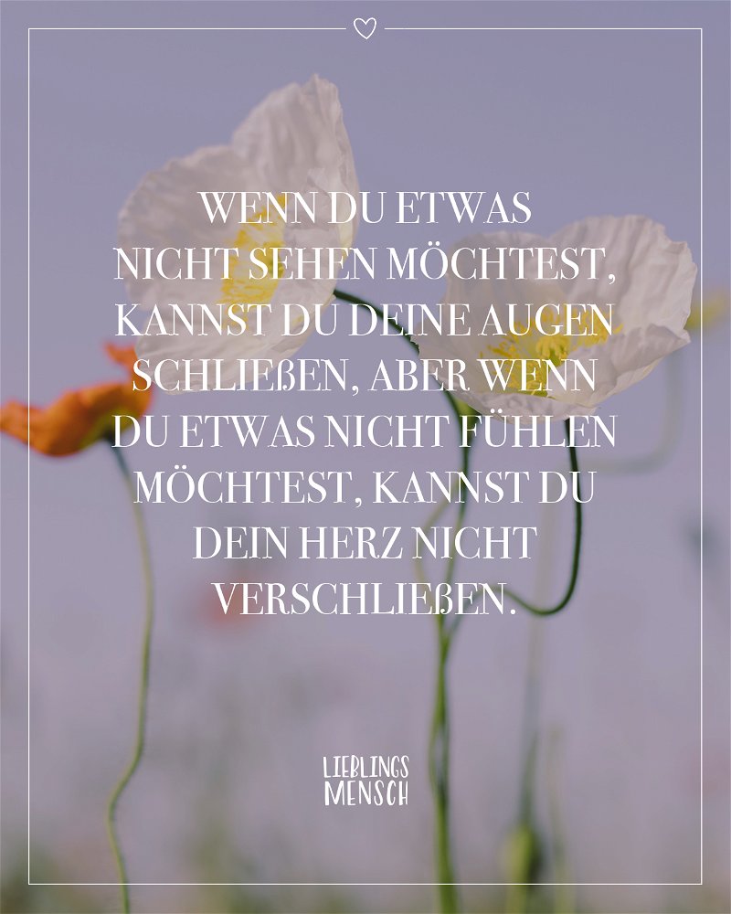 #Liebe 💜