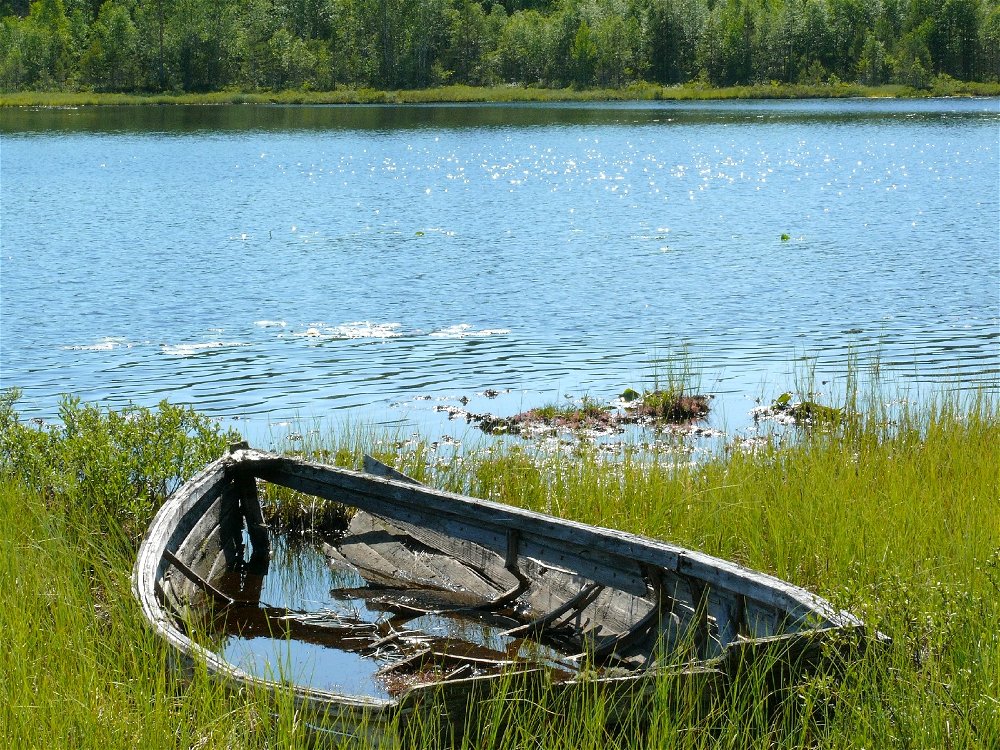 Sweden (fishing road trip)