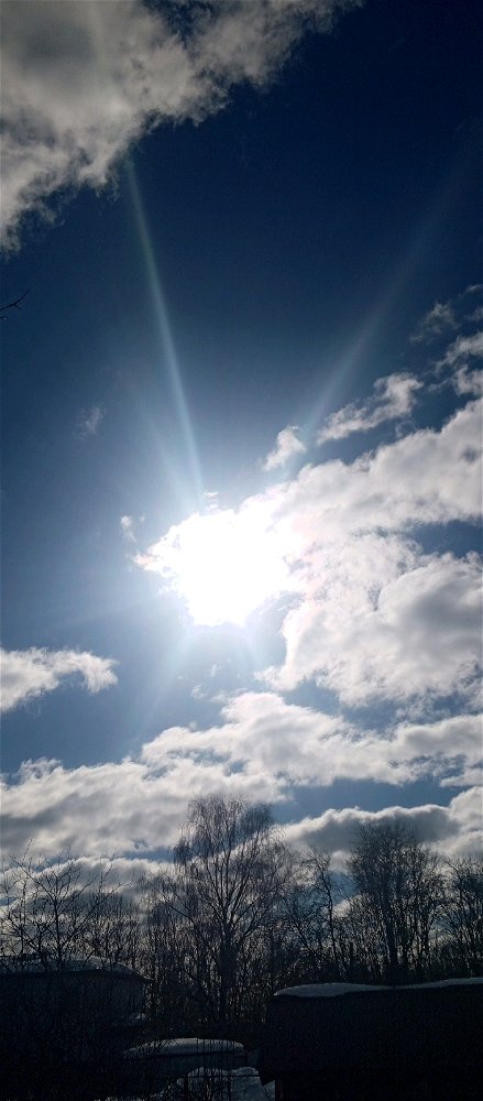 Сегодня такое яркое солнышко! Весна! ☀️☀️☀️☀️🌸