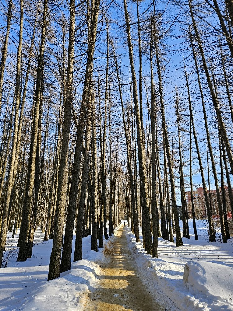 По дороге с облаками