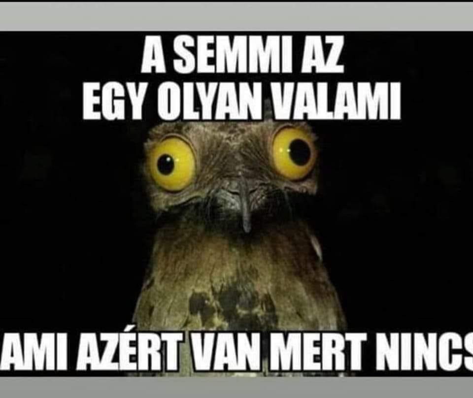 A mindennapok igazsága🤣