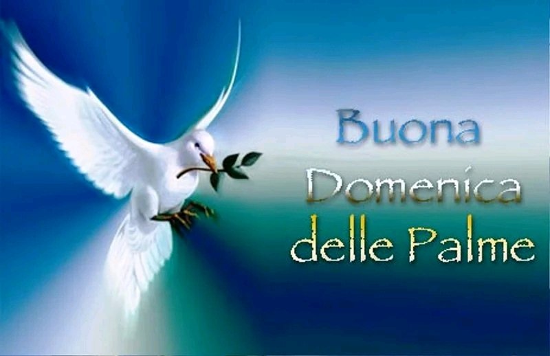 Domenica delle palme