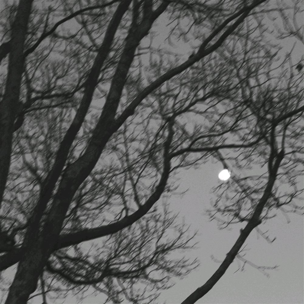 Hey guys this is just  a sample of my work I like taking color and black and white photos  more for the atheistic  please  give me honest opinion  not hate tho otherwise imma say something back