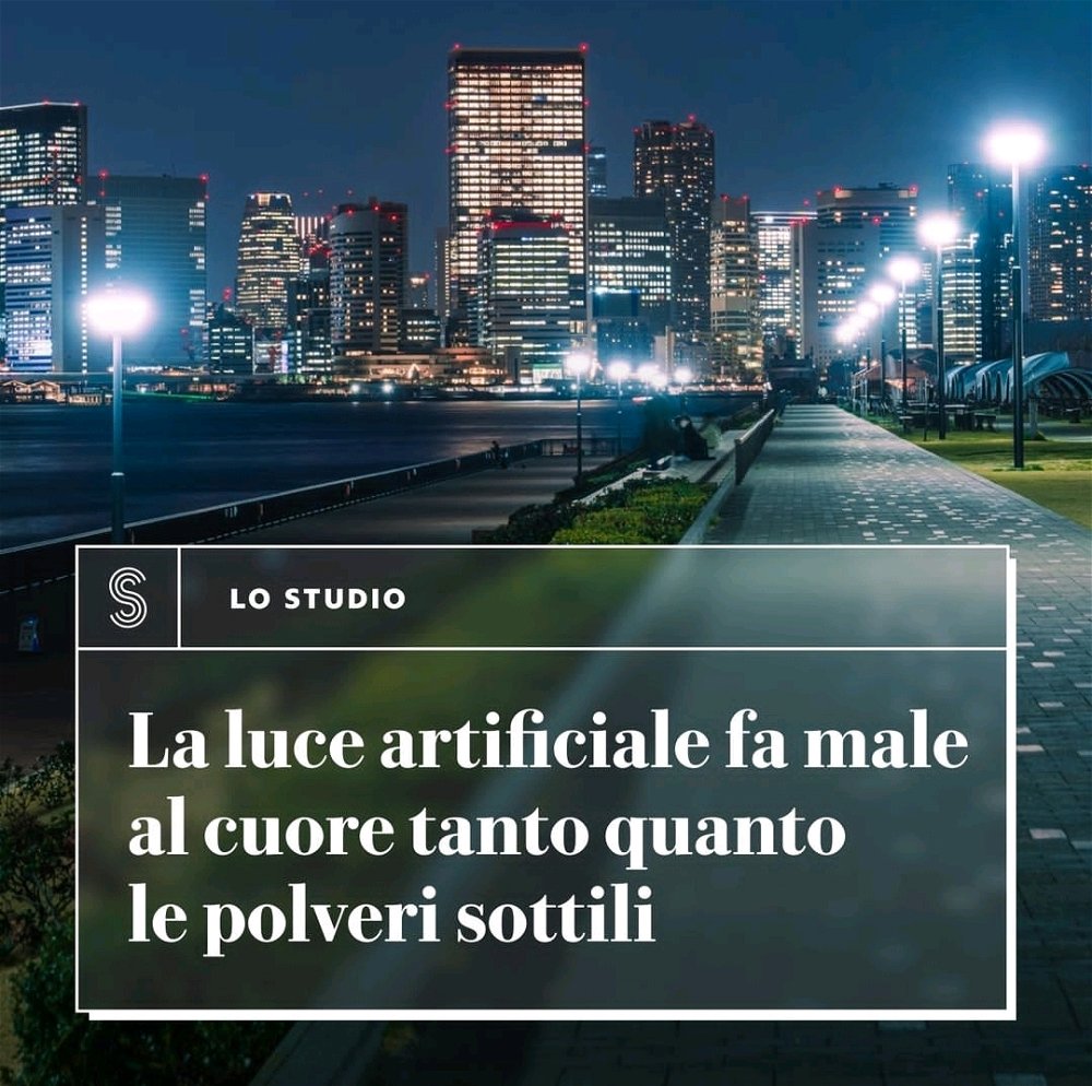 Ci avevamo mai pensato?