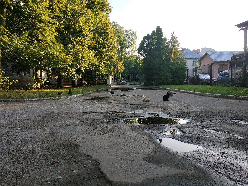 Дороги
