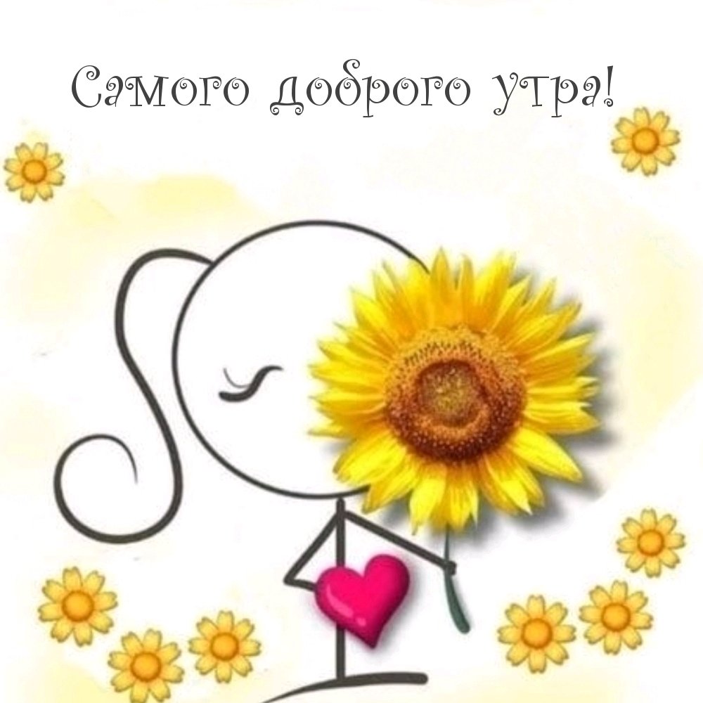 Доброе утро мои дорогие 🤗🌞