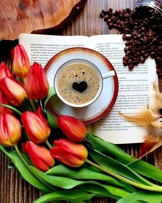 ☀️🌿☕ Доброго и чудесного дня!