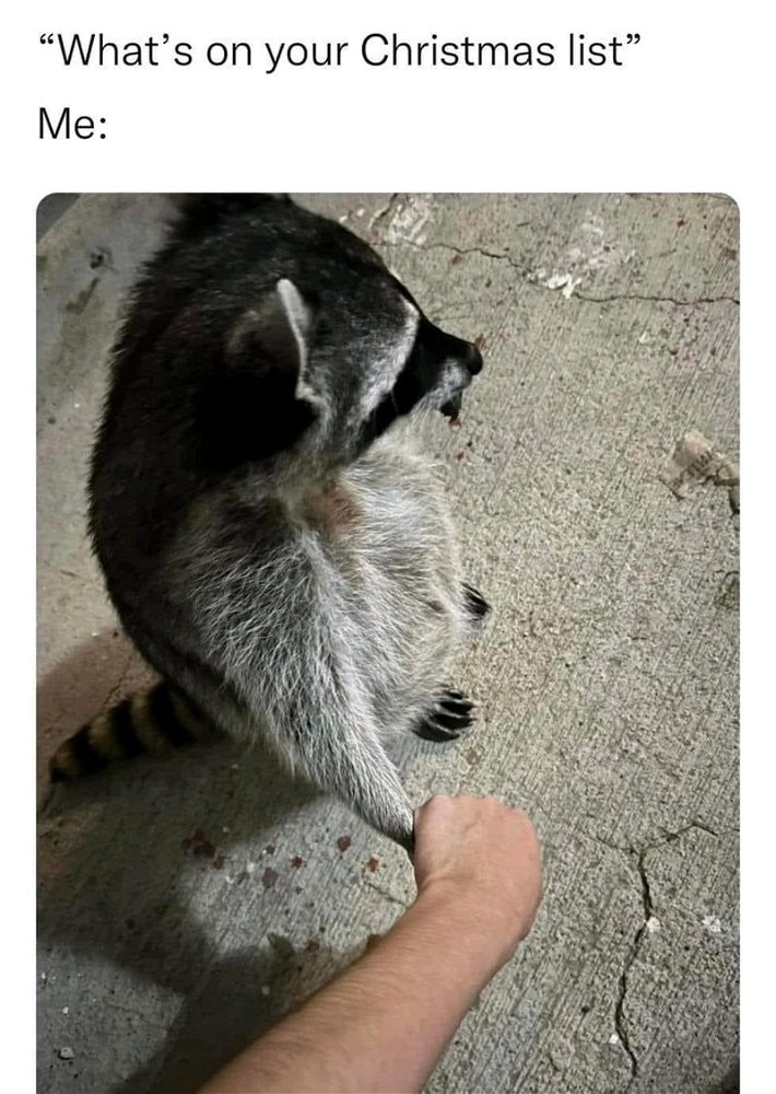 🥺❤️✨️