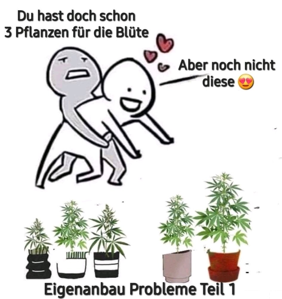 Wer kennt es nicht 😅🤣