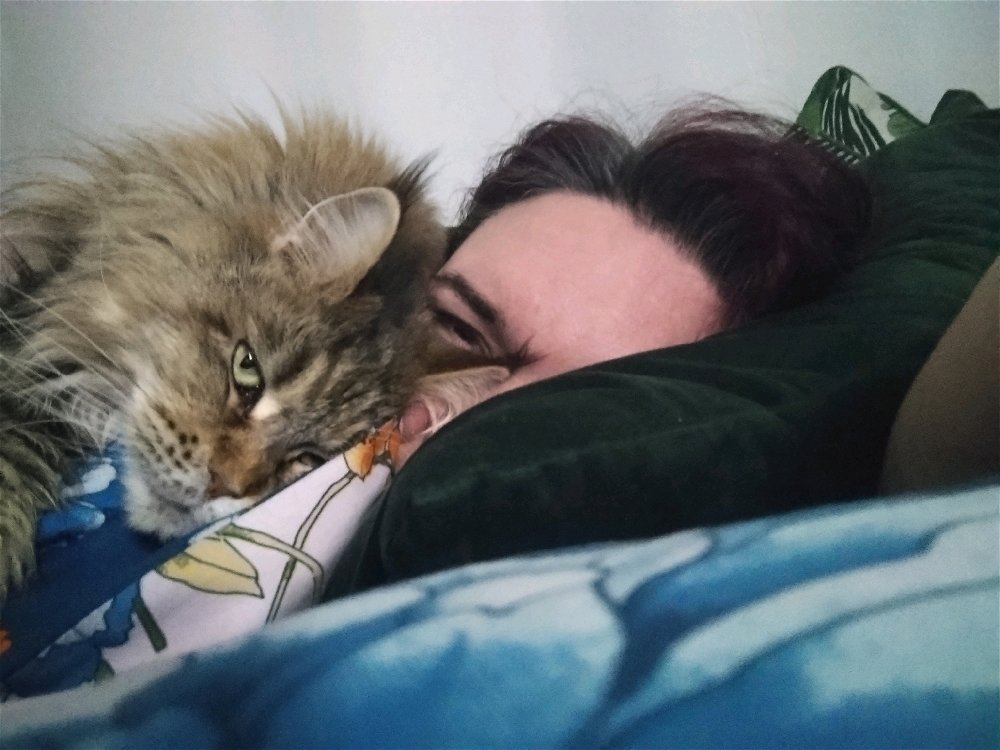 Ranní rutina ❤️