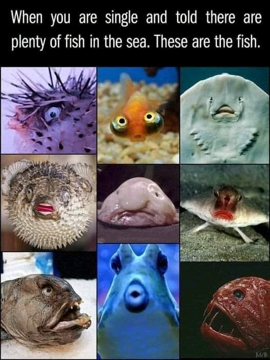 🫠