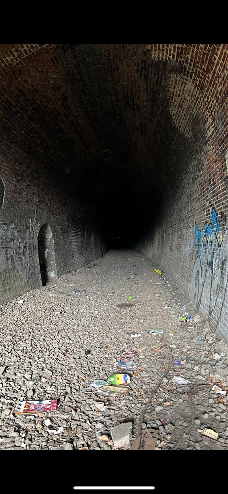 Jemand Lust auf einen kleinen Spaziergang?