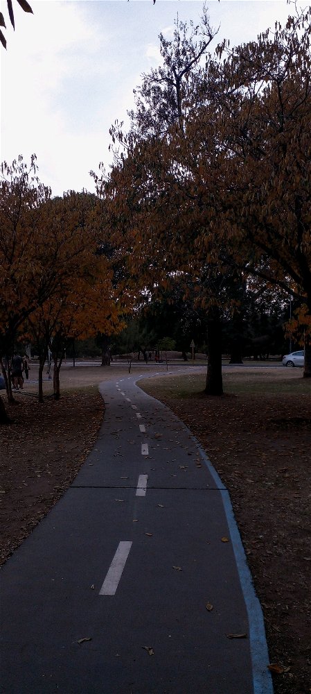 Otoño.