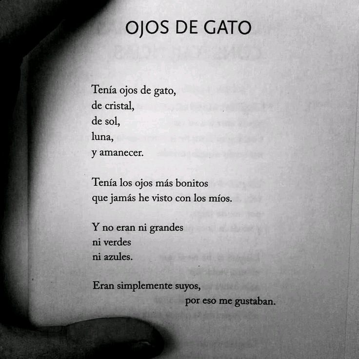 Ojos de gato