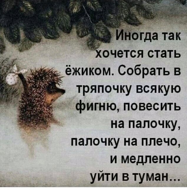 😶‍🌫️