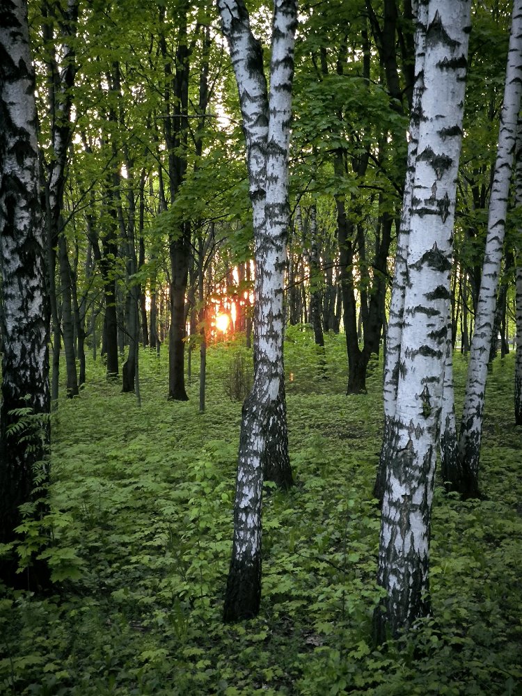 Время красивых закатов